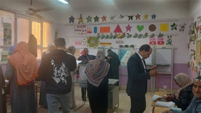 انتخابات مجلس النواب.. إقبال كثيف في لجنة صفط الخمار بمحافظة المنيا