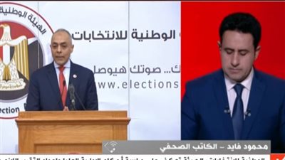 الانتخابات البرلمانية قد تنتهي في 12 يناير.. و49 دائرة من أصل 70 ستعاد بها الانتخابات من البداية