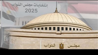 انتظام التصويت في جولة الإعادة للمرحلة الأولى لانتخابات مجلس النواب بالسفارة المصرية في الأردن