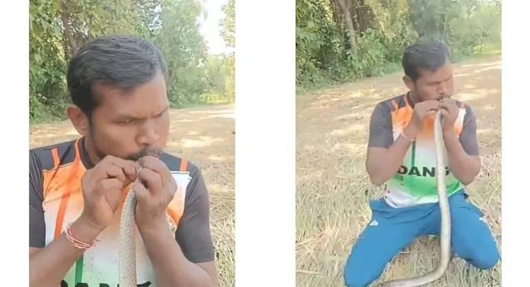 هندي يجري إنعاشاً قلبياً رئوياً لثعبان