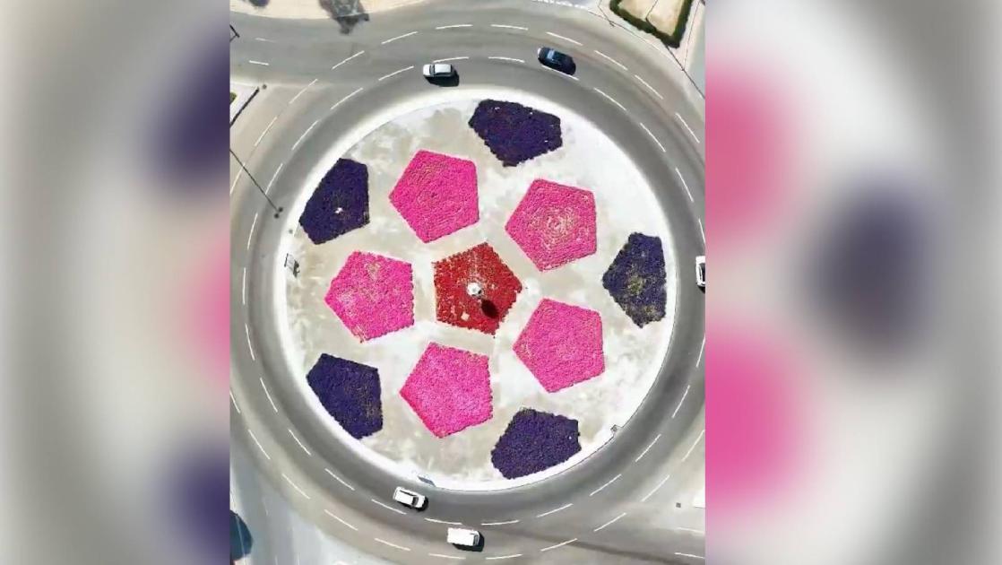 أبوظبي.. لوحة فنية ترسمها الزهور (فيديو)