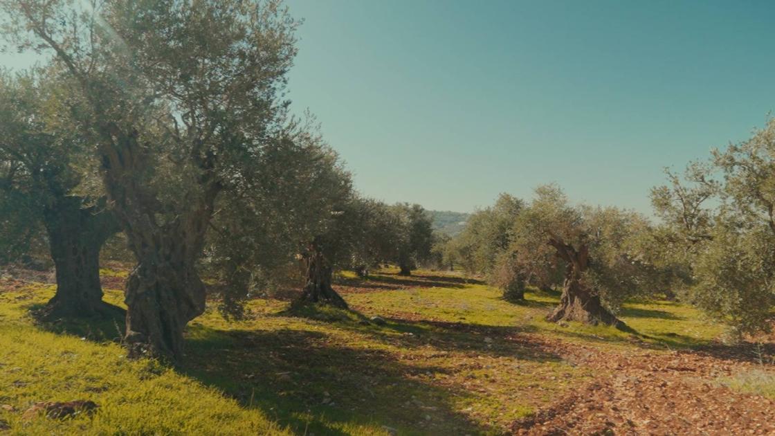 «المهراس» الأردنية على قائمة التراث العالمي