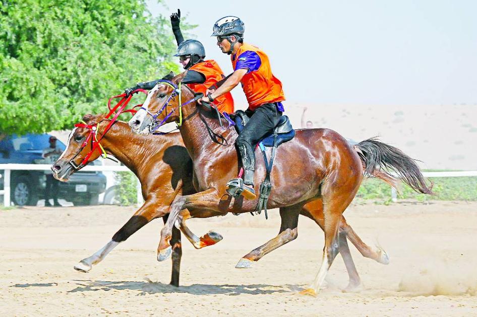 مدينة دبي الدولية للقدرة تحتضن سباق «التسعيرة»