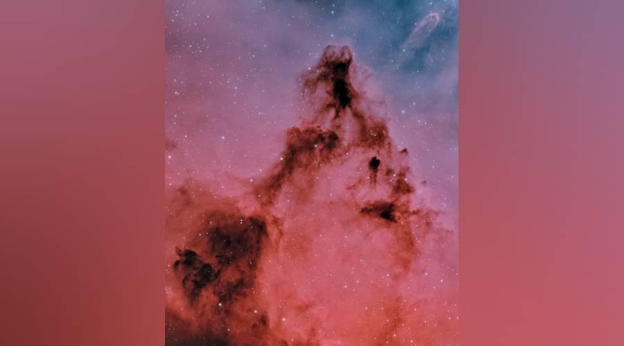 أبوظبي.. التقاط صورة خلابة لعنقود الشجرة وسديم المخروط