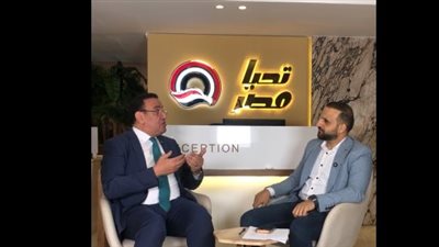 قرار إلغاء الانتخابات في 19 دائرة غير مسبوق والناجح الوحيد من الانتخابات هو الرئيس السيسي