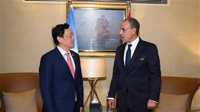 مصر حريصة على استضافة مركز عالمي لتخزين وتوريد وتجارة الحبوب لتعزيز أمن الغذاء