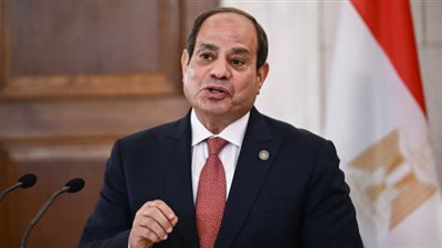 استقرار ليبيا جزء لا يتجزأ من أمن مصر القومي