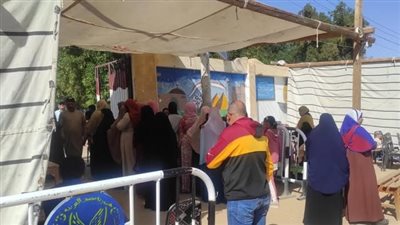 السيدات في الصدارة.. إقبال بلجان الداخلة مع فتح باب التصويت في انتخابات مجلس النواب
