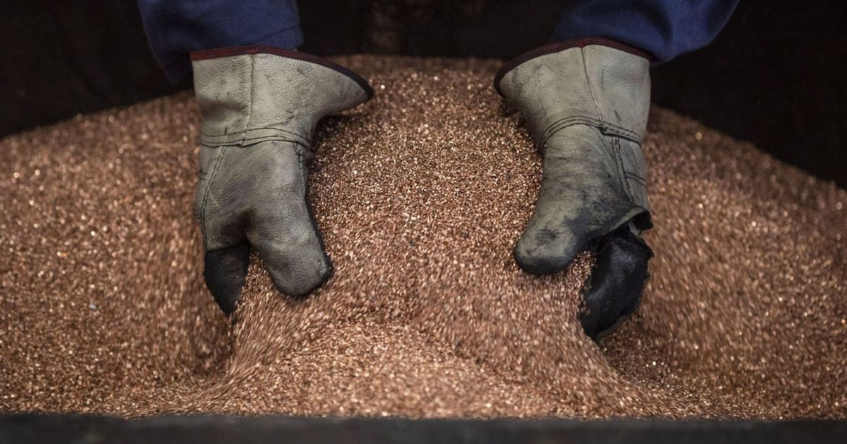 غولدمان ساكس: ارتفاع سعر النحاس فوق 11 ألف دولار “لن يدوم”