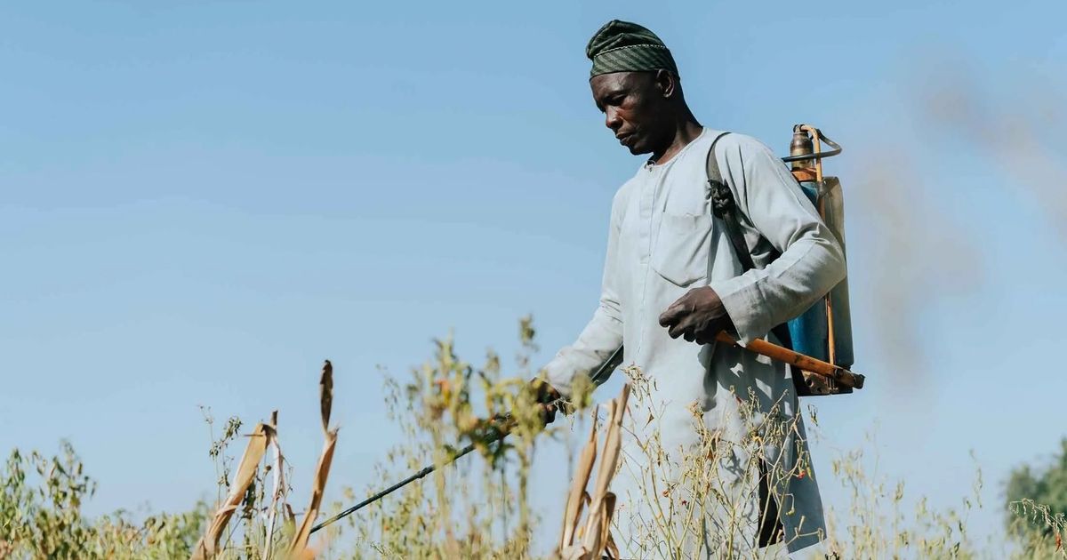 لماذا تصدر شركات أوروبية مبيدات تحظرها أوروبا إلى نيجيريا؟