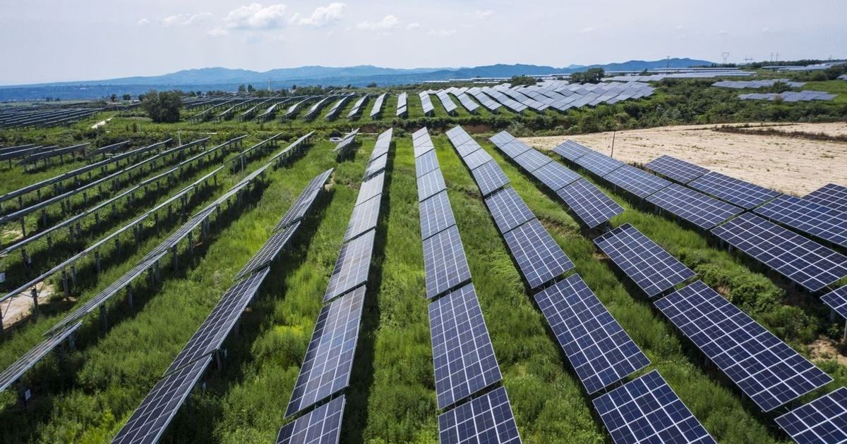 لأول مرة.. الطاقة الشمسية الجديدة تتجه للتراجع عالمياً في 2026