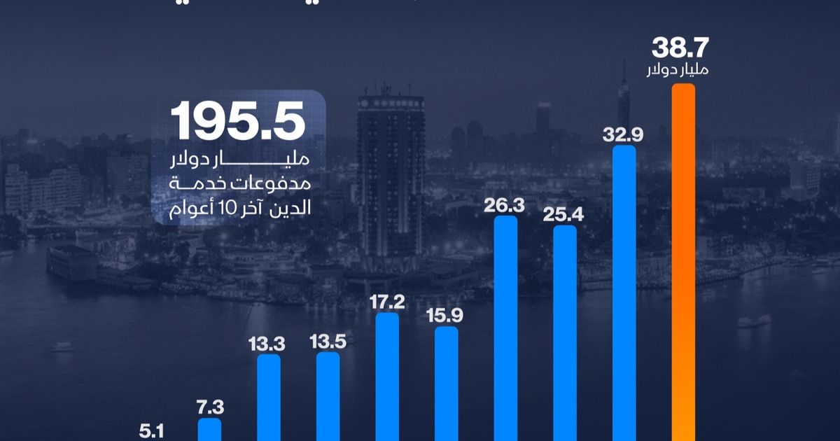 إنفوغراف: مدفوعات خدمة الدين في مصر تقفز بأكثر من 17%