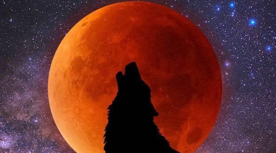 قمر الذئب العملاق يطل غداً السبت: 6 أسباب تجعلك لا تفوت مشاهدة «سوبر موون»