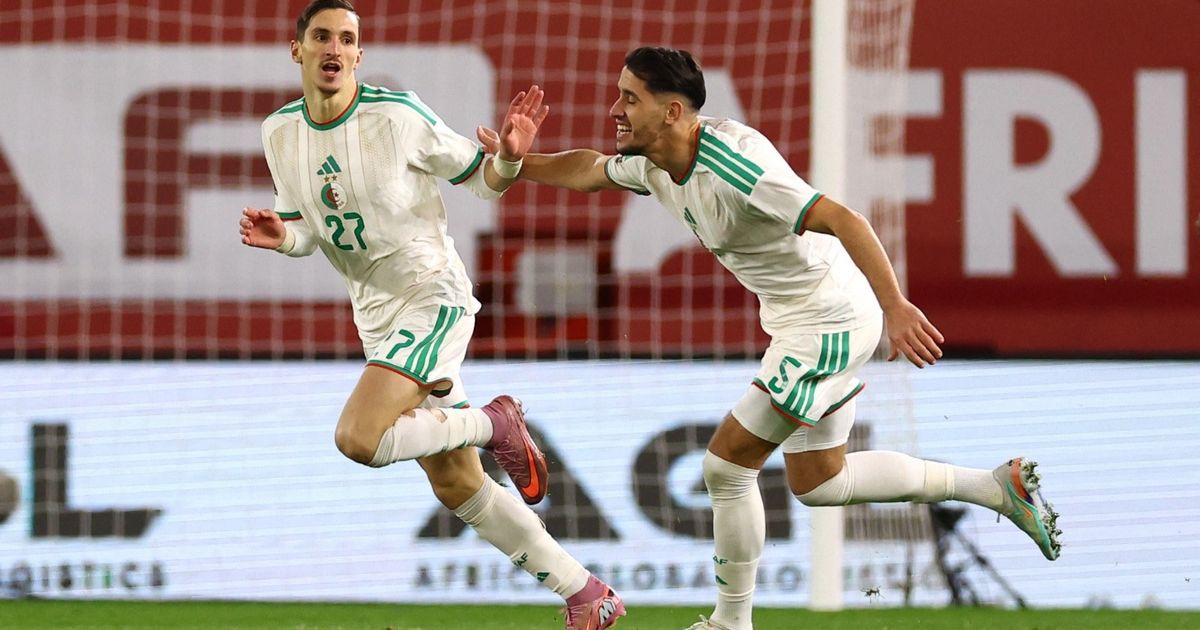 موعد مباراة الجزائر ونيجيريا في ربع نهائي كأس أمم إفريقيا