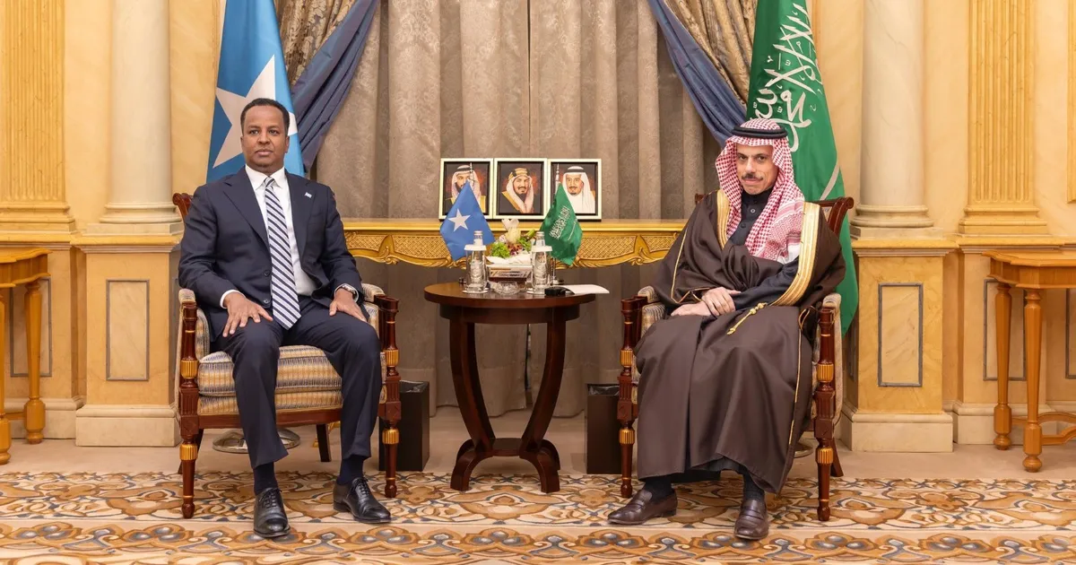 وزيرا خارجية السعودية والصومال يبحثان الأوضاع في المنطقة