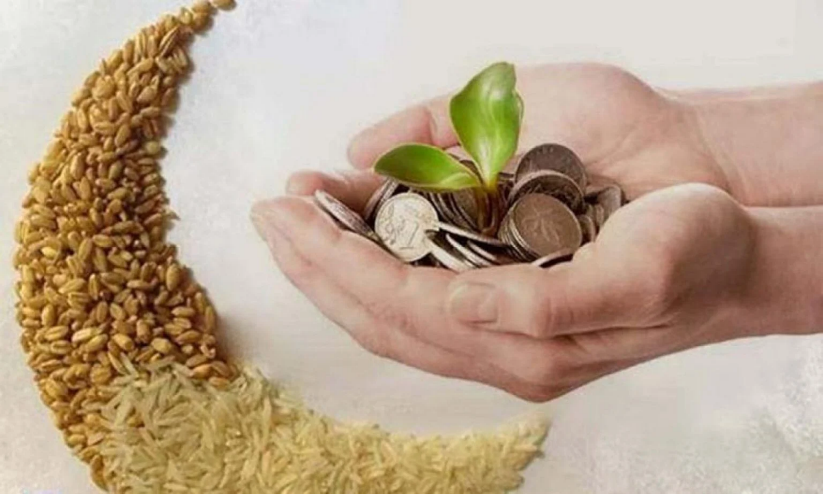 دار الإفتاء تعلن الحد الأدنى لزكاة الفطر وفدية الصيام 1447 هجرياً