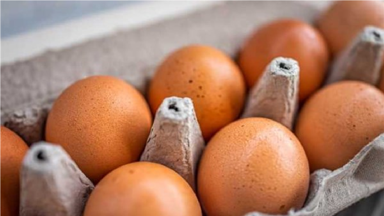 مفاجأة في أسعار البيض اليوم بالأسواق المصرية رغم زيادة الإنتاج 25%