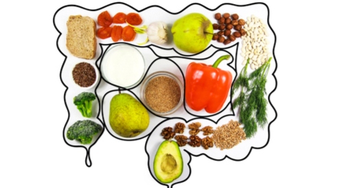 تعزيز صحة الجهاز الهضمي: الأطعمة الصديقة للأمعاء ودورها الحيوي