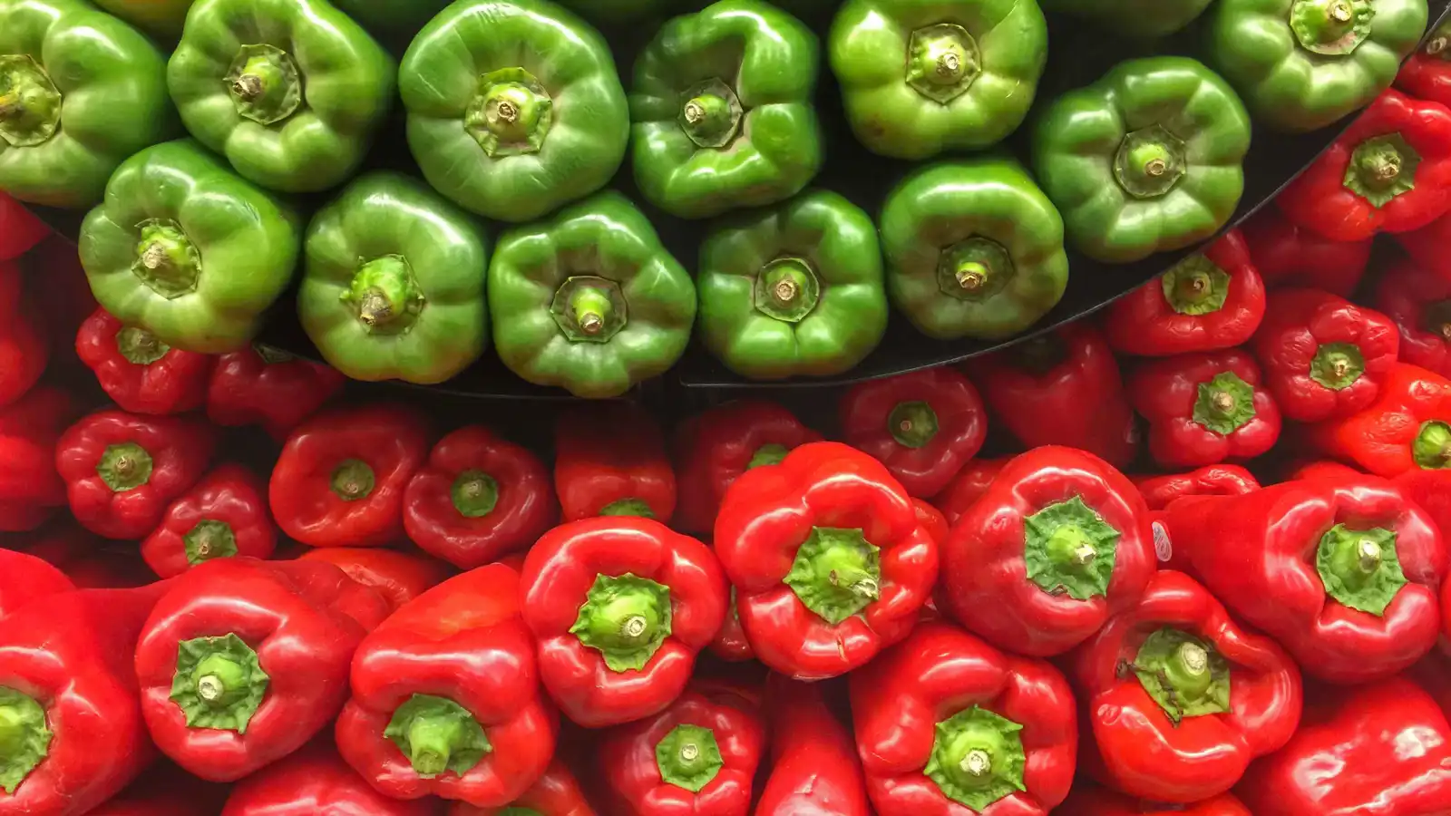 أيهما أفضل لصحتك.. الفلفل الأحمر أم الأخضر؟