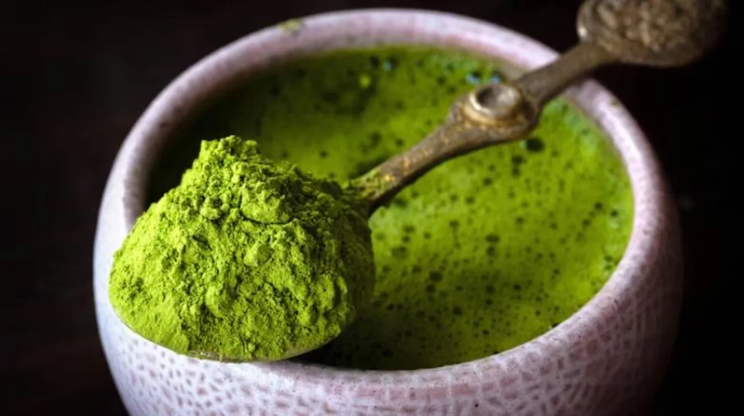 فوائد الماتشا المذهلة.. يحسن الذاكرة ويحمي القلب ويساعد في إنقاص الوزن