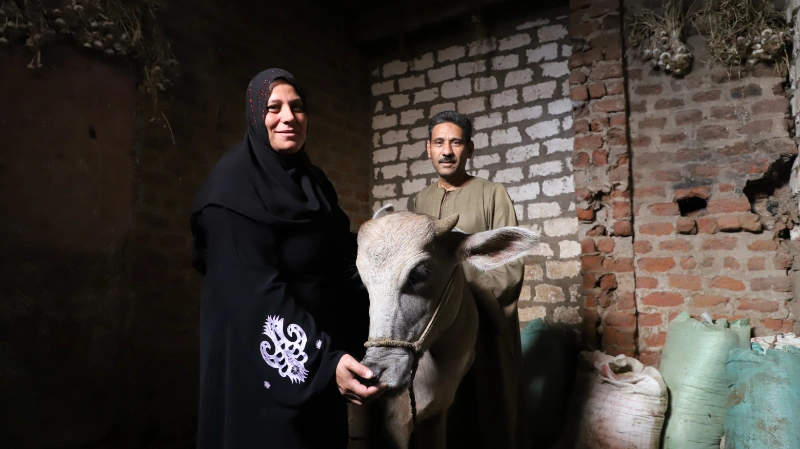 مشروع باب أمل يدعم 298 أسرة بمشاريع إنتاجية في قرى سوهاج