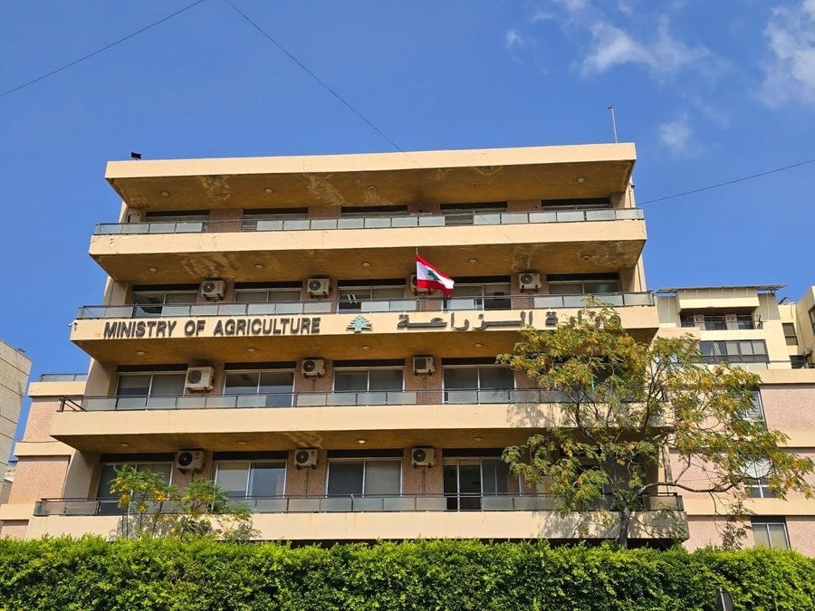 تحذير عاجل من وزارة الزراعة للمزارعين بخصوص تقاوي مغشوشة تضرب الأسواق