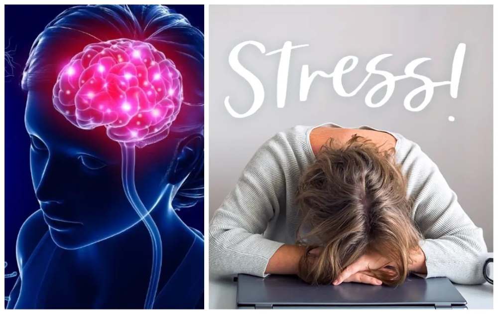 هوايات فعالة لخفض التوتر واستعادة الهدوء النفسي: 6 خيارات لتحسين جودة حياتك