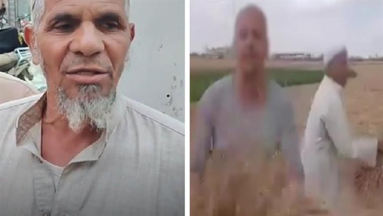 “الحمد لله.. ربنا مش ضيع تعبنا”: فلاح يستعيد قمحه بالشرقية خلال 24 ساعة