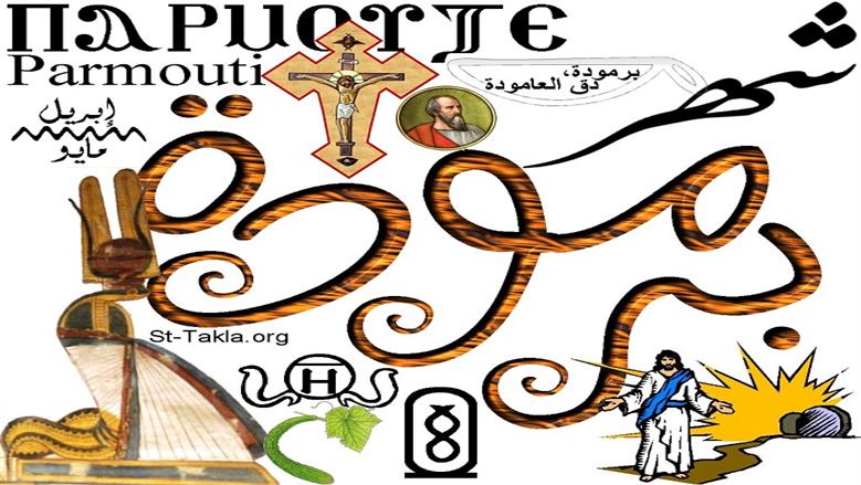 برمودة.. العد التنازلي لموسم الحصاد وبداية بشنس الملتهب