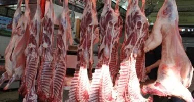بيطري سوهاج يوجه إرشادات هامة للمواطنين لشراء لحوم سليمة