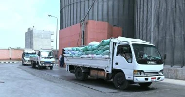 تموين الوادي الجديد: توريد 150 ألف طن قمح للصوامع والشون.