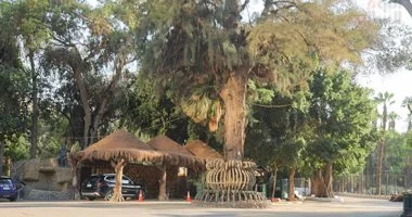 رسمياً.. حديقة حيوان الجيزة تتحول إلى “جنينة الحيوانات” ضمن خطة التطوير