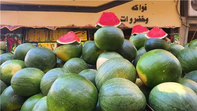 شائعات البطيخ المسرطن .. رئيس “تغير المناخ” يحسم الجدل ويكشف الحقيقة