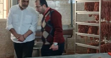 ضبط طن ونصف دواجن غير صالحة في حملة بمدينة العبور