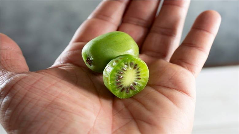 فاكهة يابانية غريبة تحارب السرطان.. تشبه الكيوي وتقضي على الأورام