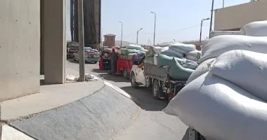 محافظ أسيوط يتابع توريد 33 ألف طن قمح للصوامع والشون