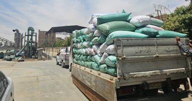 محافظ البحيرة تتابع انتظام توريد 12 ألف طن قمح محلي