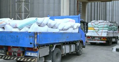 محافظ البحيرة: توريد 15 ألف طن قمح لشون وصوامع المحافظة