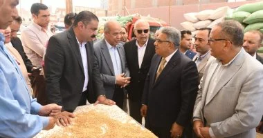 محافظ الدقهلية يتابع توريد 35 ألف طن قمح بصوامع ميت غمر