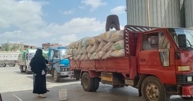 محافظ المنيا: توريد 71 ألف طن قمح للشون والصوامع بالمحافظة