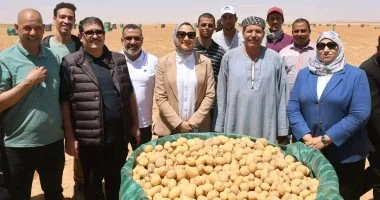 محافظ الوادي الجديد تشهد حصاد محاصيل القمح والبطاطس بمركز بلاط