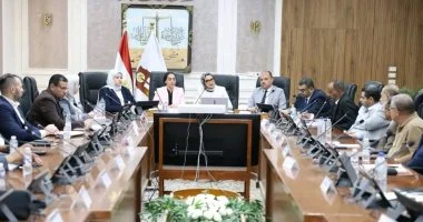 محافظ الوادي الجديد تناقش مشروع التطوير المؤسسي بالتعاون مع جنوب سيناء