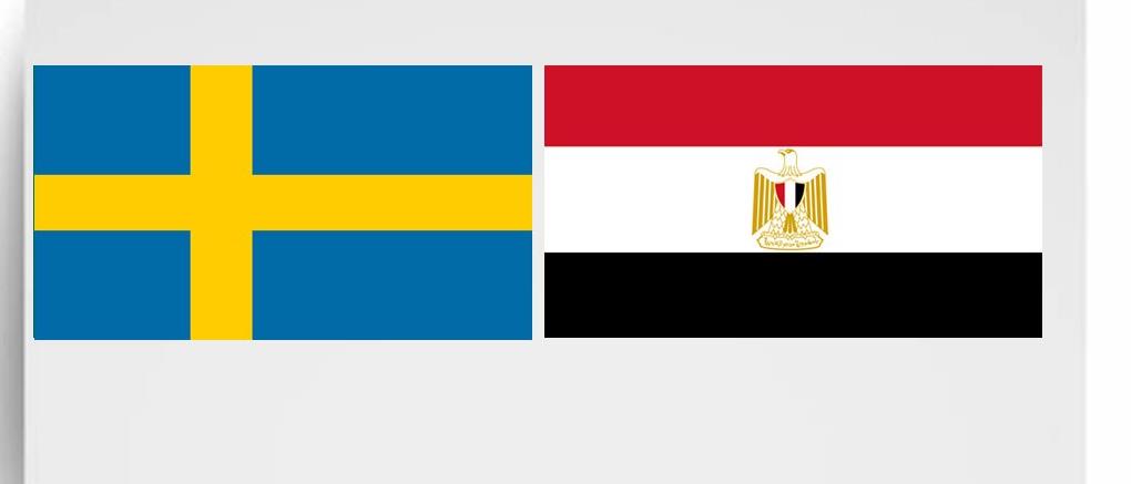 مصر والسويد تبحثان تعزيز التعاون وتبادل الخبرات في قطاع الدواء