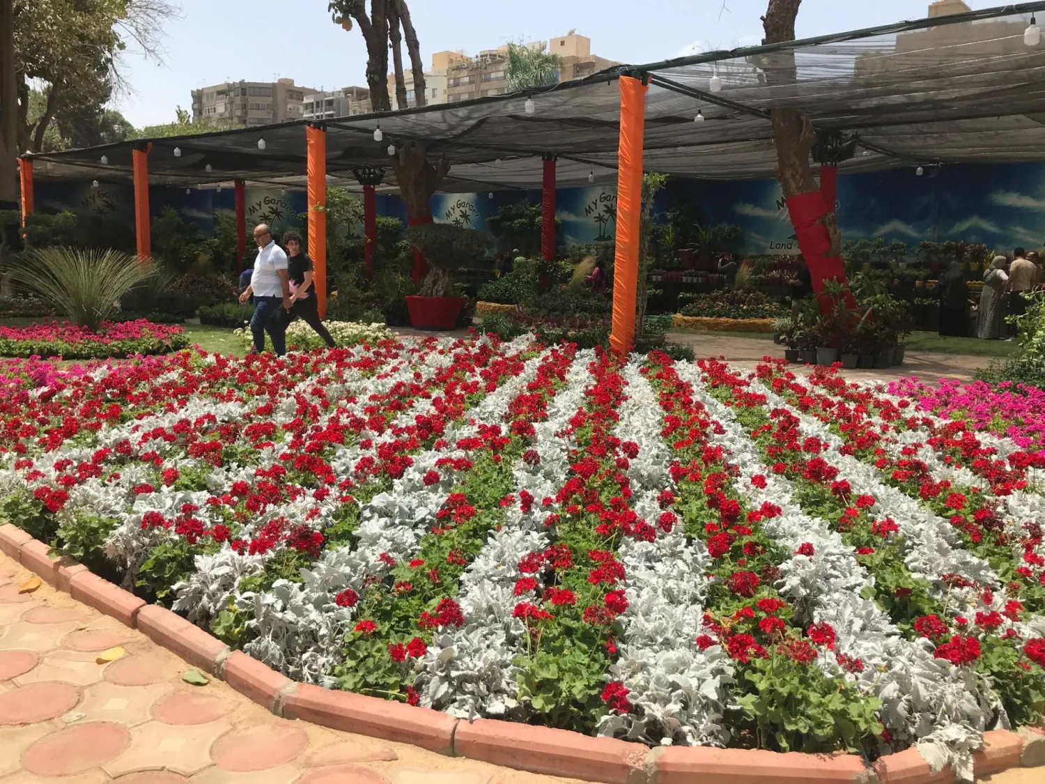 فنان يحوّل جريد النخيل والرمال إلى منحوتات ولوحات فنية بمعرض الزهور