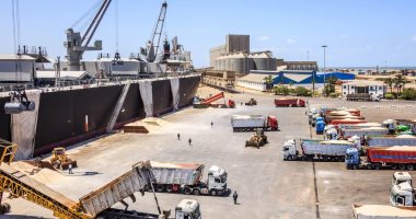 ميناء دمياط يستقبل ناقلة قمح بحمولة 65 ألف طن