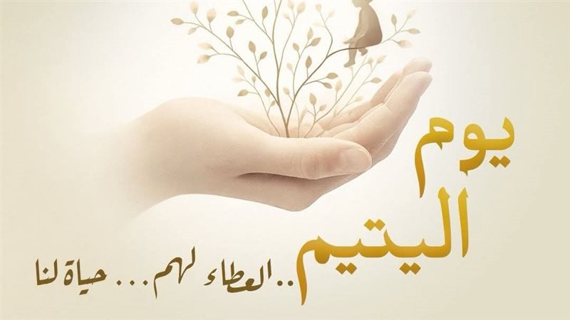 كفر الشيخ تتزين لاستقبال يوم اليتيم في احتفالية مجتمعية بالبهجة