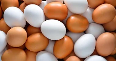 أسعار البيض اليوم في أسواق القليوبية