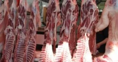 أسعار اللحوم في كفر الشيخ اليوم تبدأ من 260 جنيها للكيلو