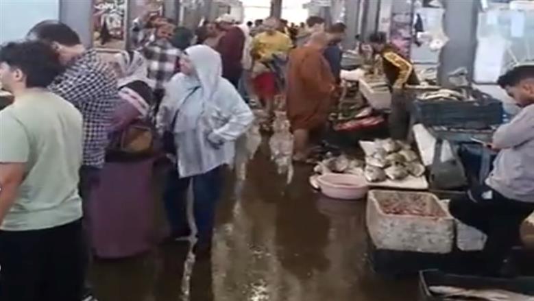 أسماك الغردقة: أسعار السمك اليوم الأحد 3-5-2026.. التونة بـ 80 جنيهاً