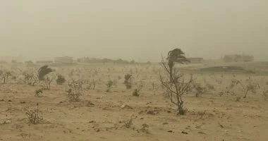 إغلاق ميناء العريش وتعليق الصيد بسبب سوء الأحوال الجوية بشمال سيناء